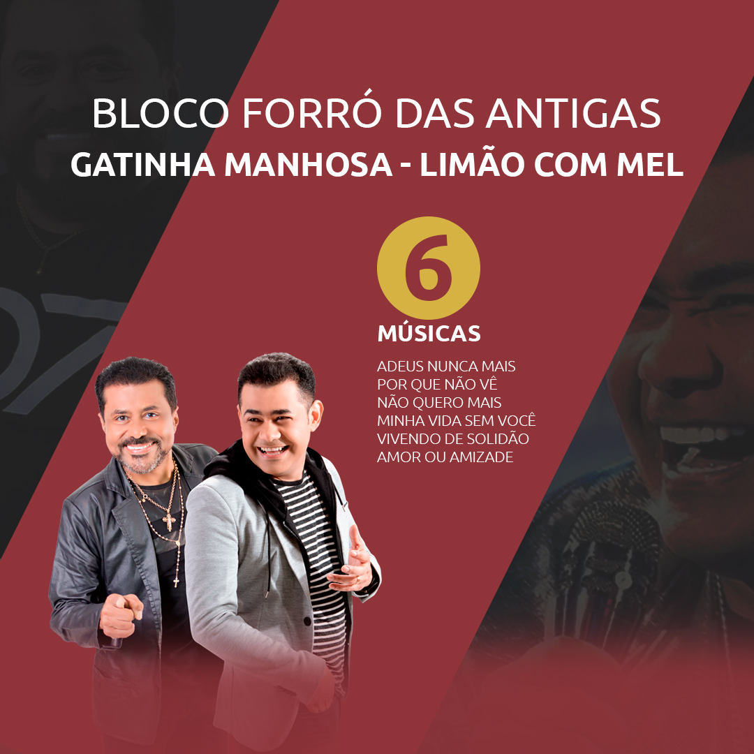 BANNER - BLOCO LIMÃO GATINHAPrancheta 2